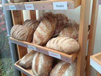 © Le fournil de Steve