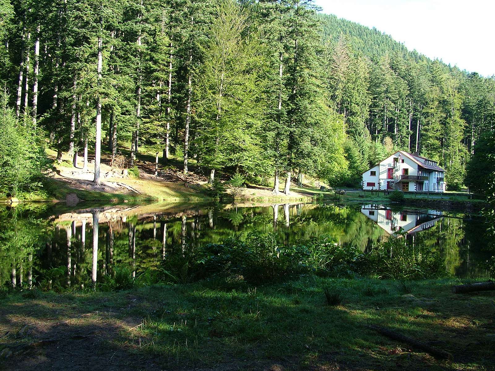 Etang du Coucou. Ecoutez le silence...