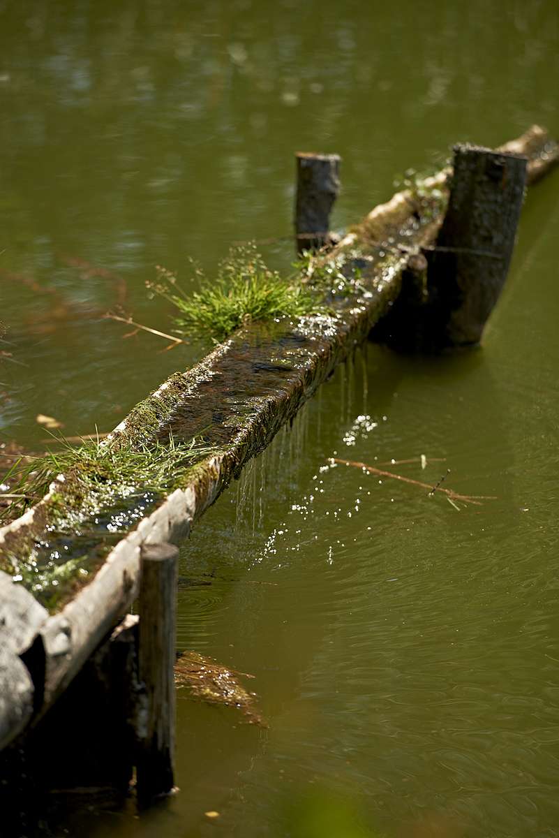 Au bord de l'eau