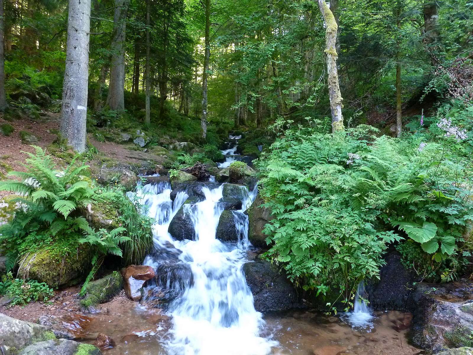 The Serva waterfalls