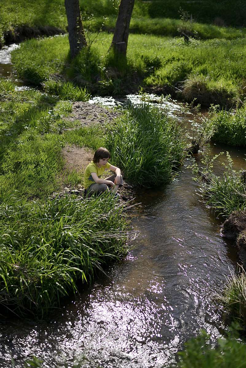 Along the river bank