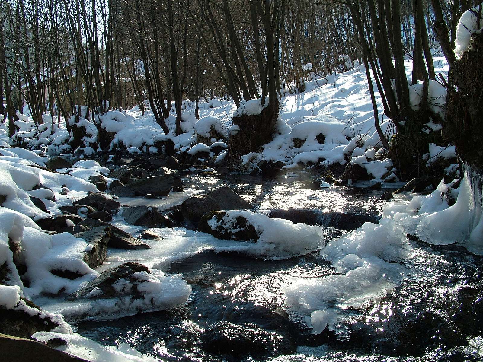 Sous la neige