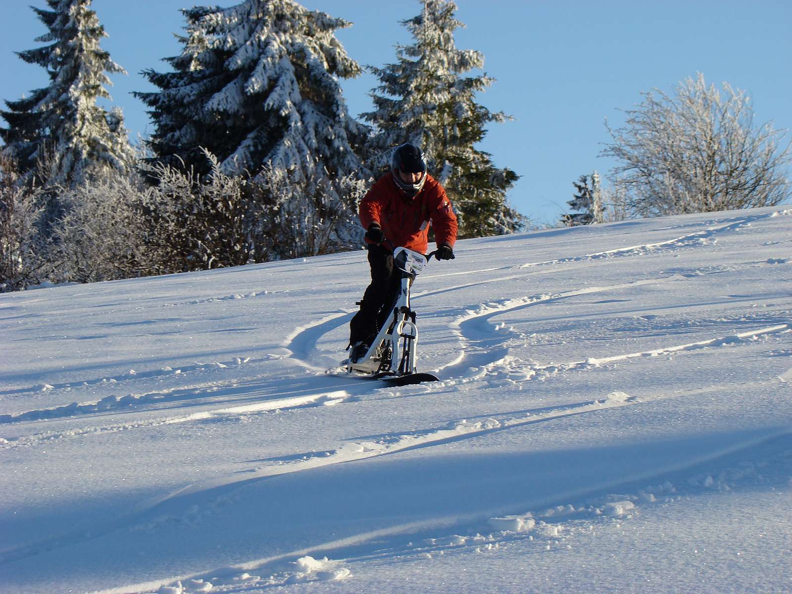 Une descente en snowscoot