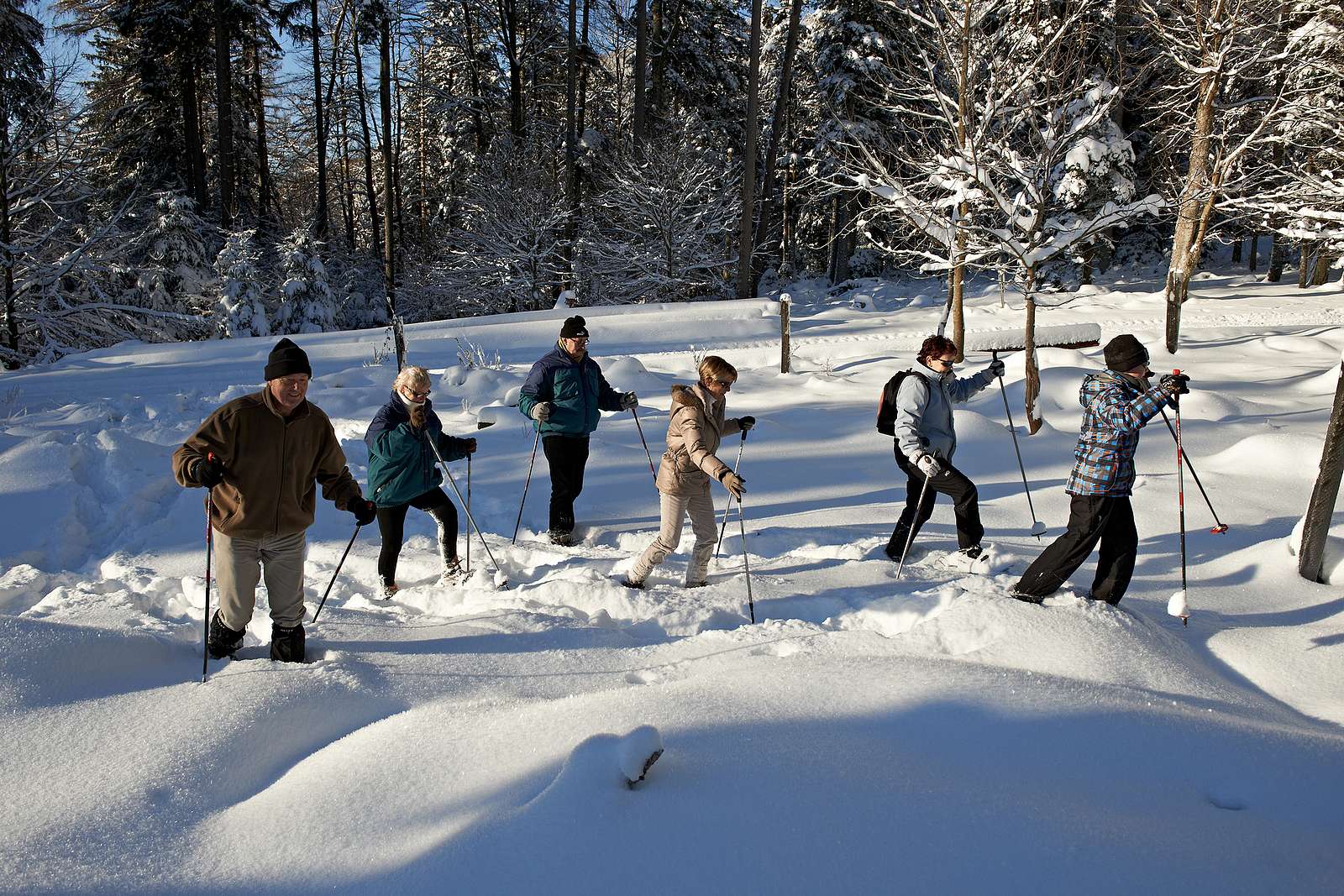 Snowshoeing