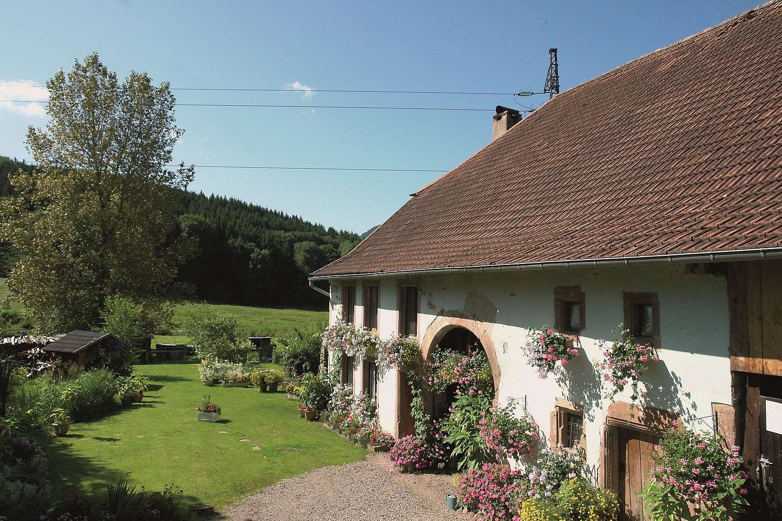 A farm in the Bruche Valley