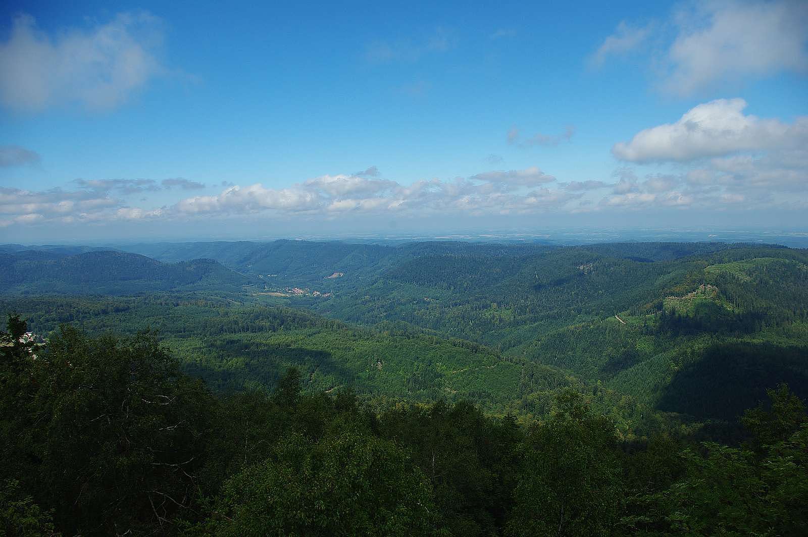 The Plaine Valley seen from the Donon