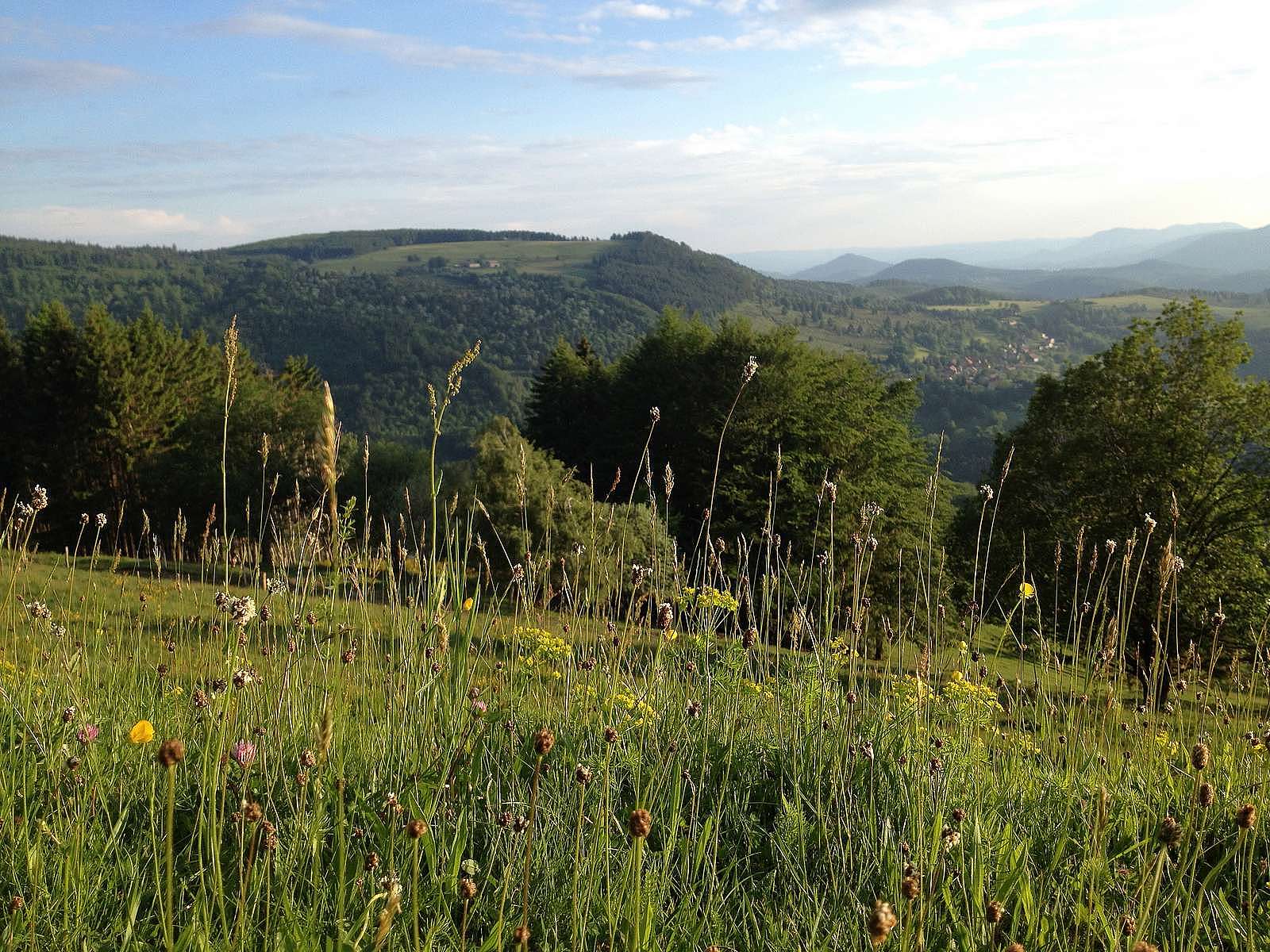 The Bruche Valley sceneries