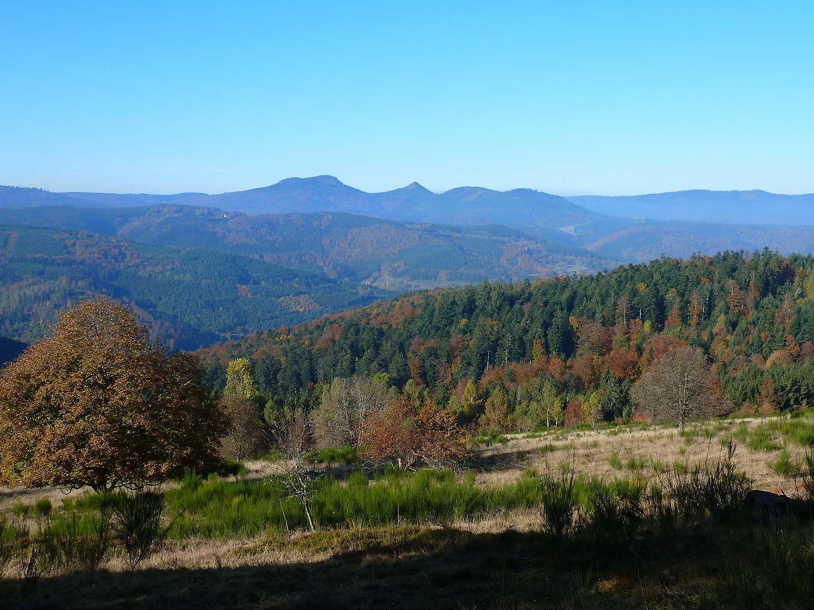 The Donon mountain seen from La Perheux