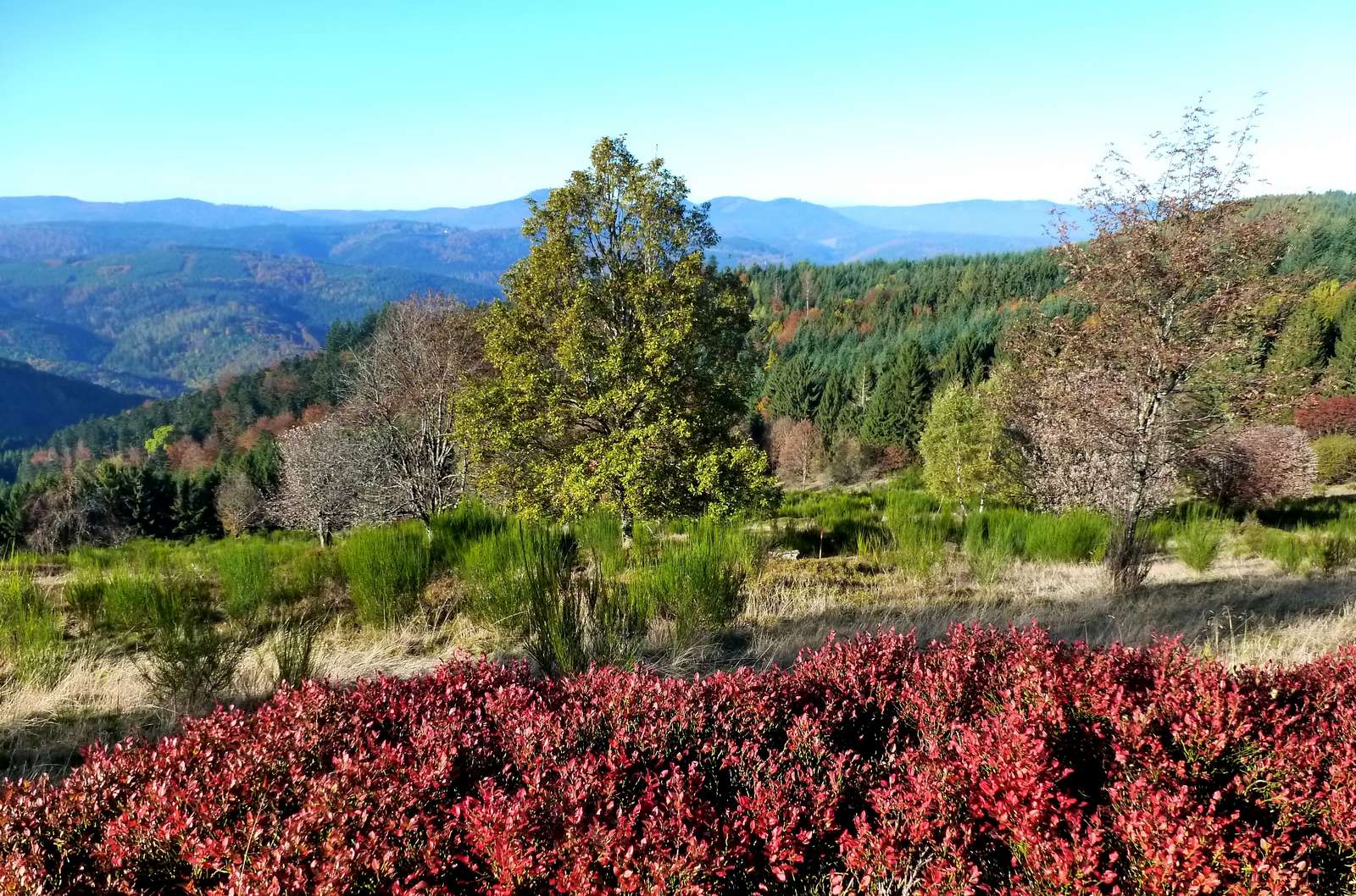 Couleurs d'automne à La Perheux