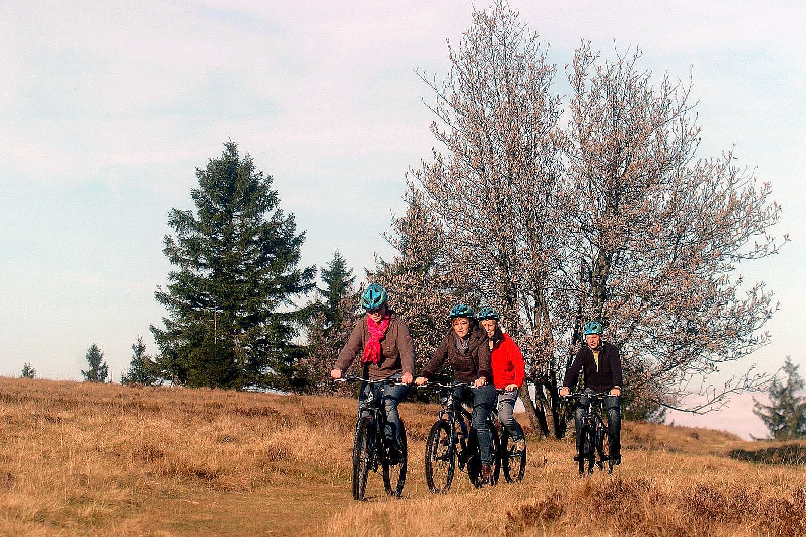 Une rando VTT au Champ du Feu