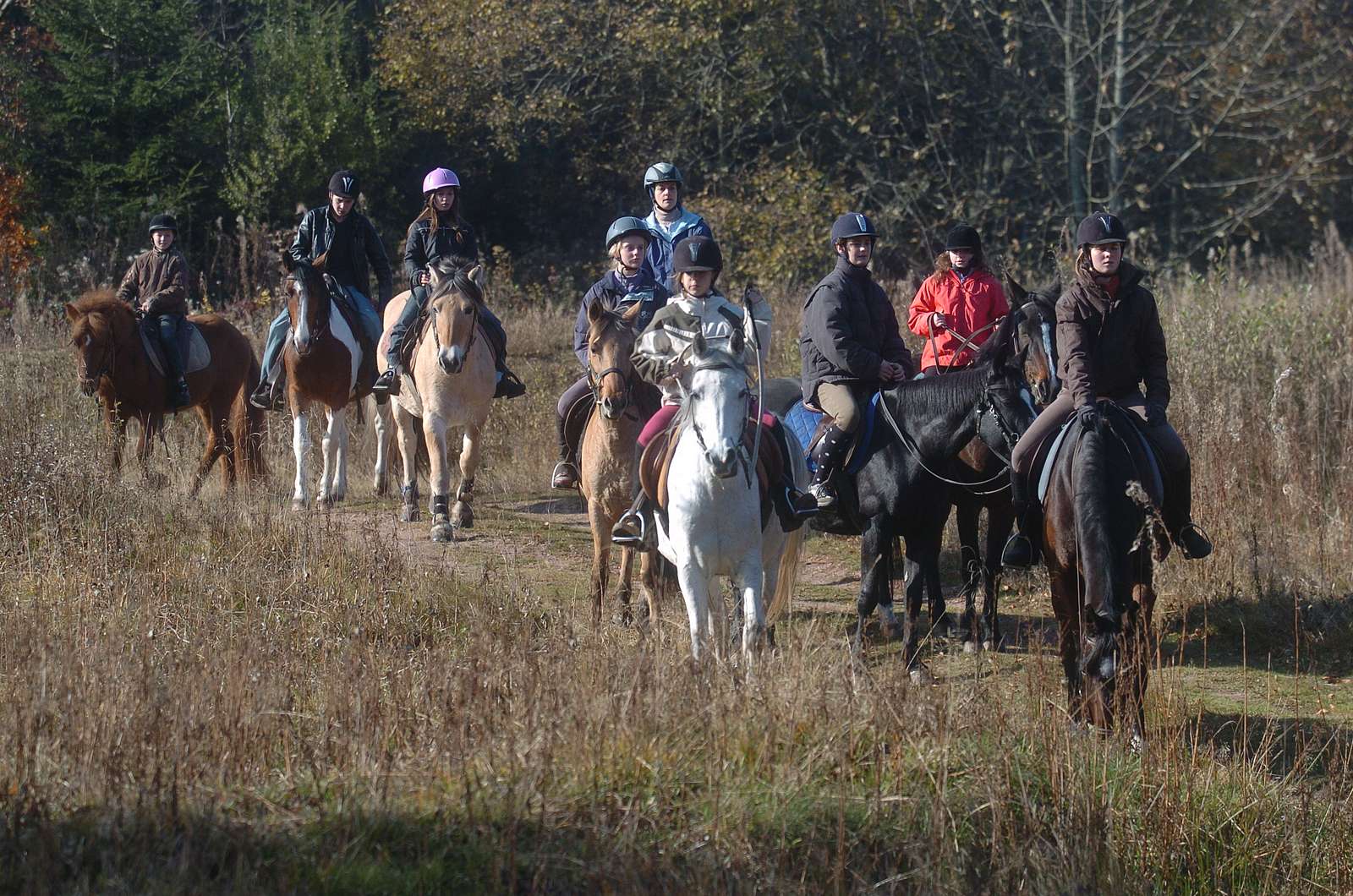 Horse riding