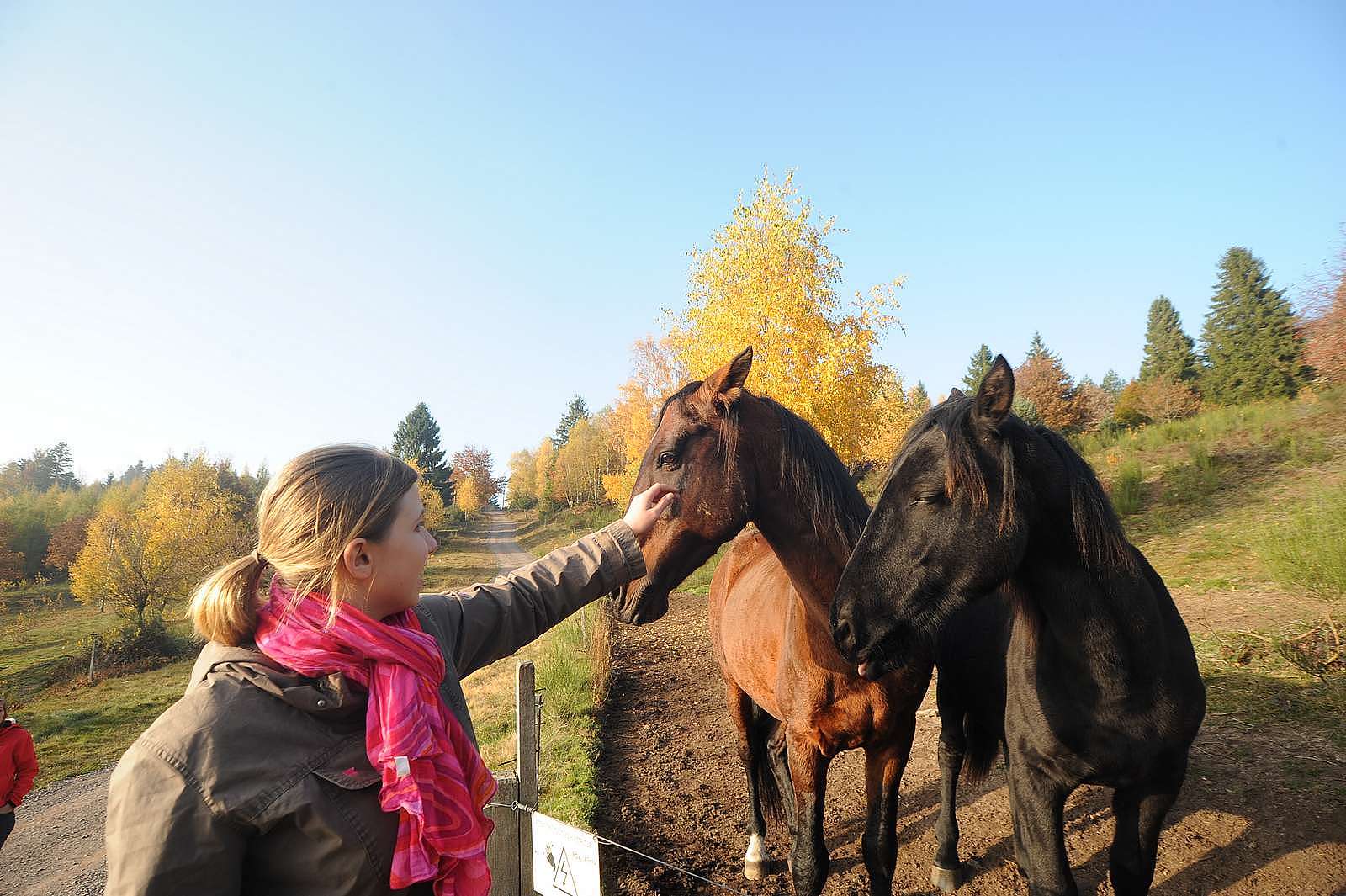 Sur les hauteurs de Solbach