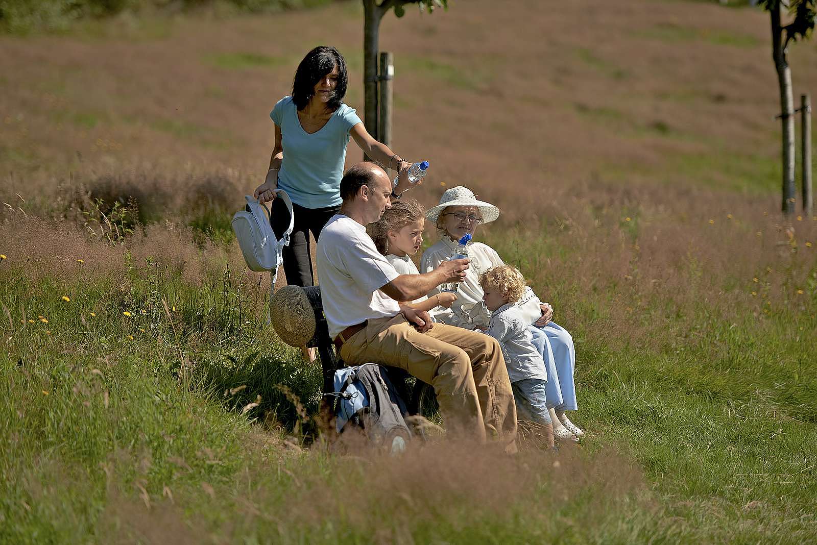 A family piknik