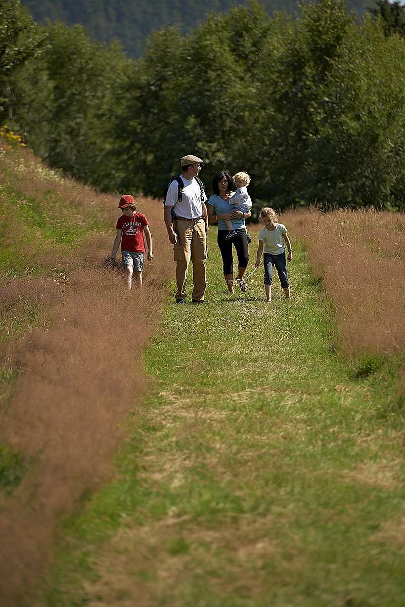 Une balade en famille sur le sentier des fruitiers à Saâles