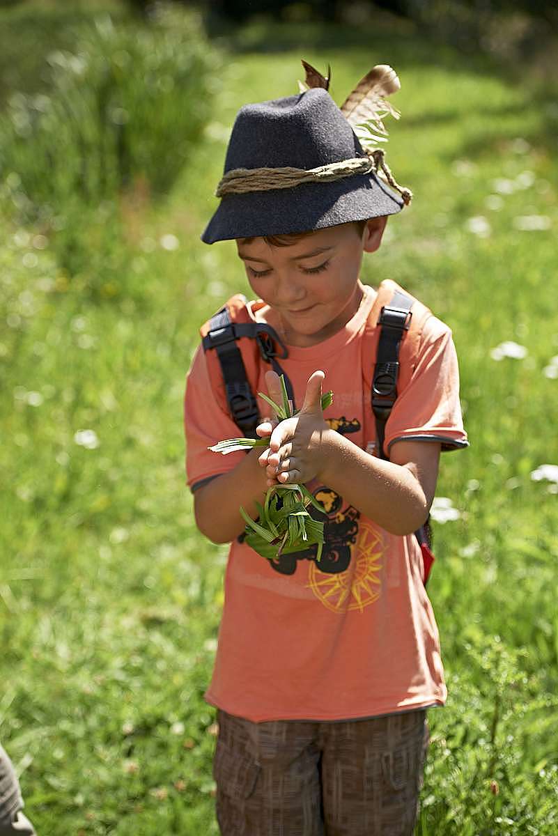 A la découverte des plantes médicinales