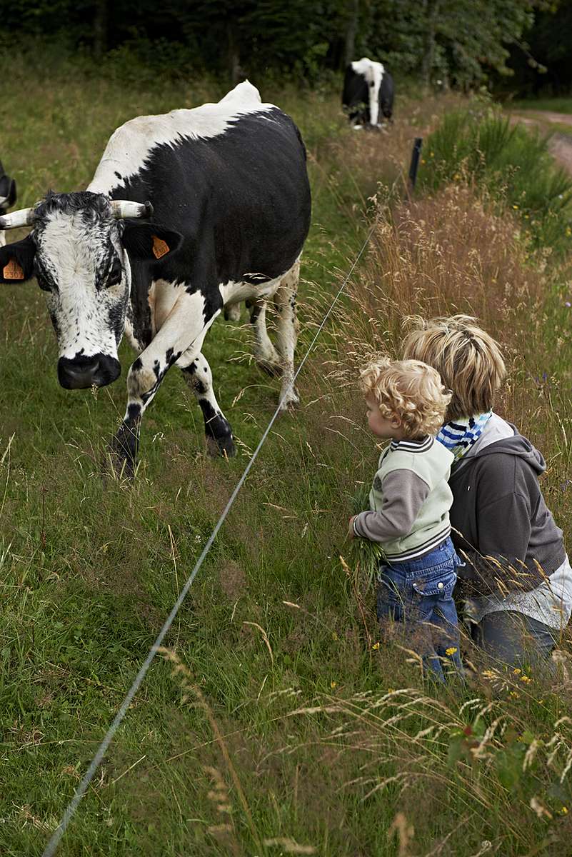 Une rencontre avec la nature