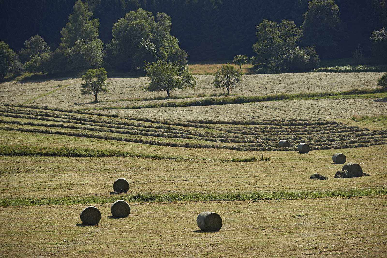 Mountain agriculture