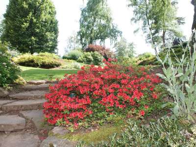 © Crédit photo : Office de tourisme de la vallée de la Bruche