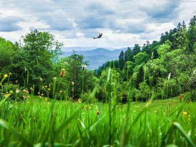 © Parc Alsace Aventure - Breitenbach