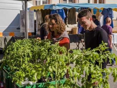 Marché de Rothau