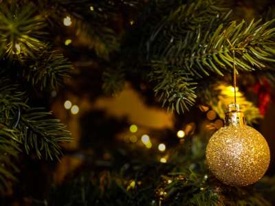 Le Coin Fleuri - portes ouvertes de Noël