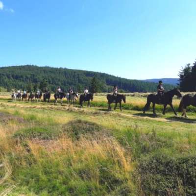 Le centre de loisirs équestres : Cheval Alsace