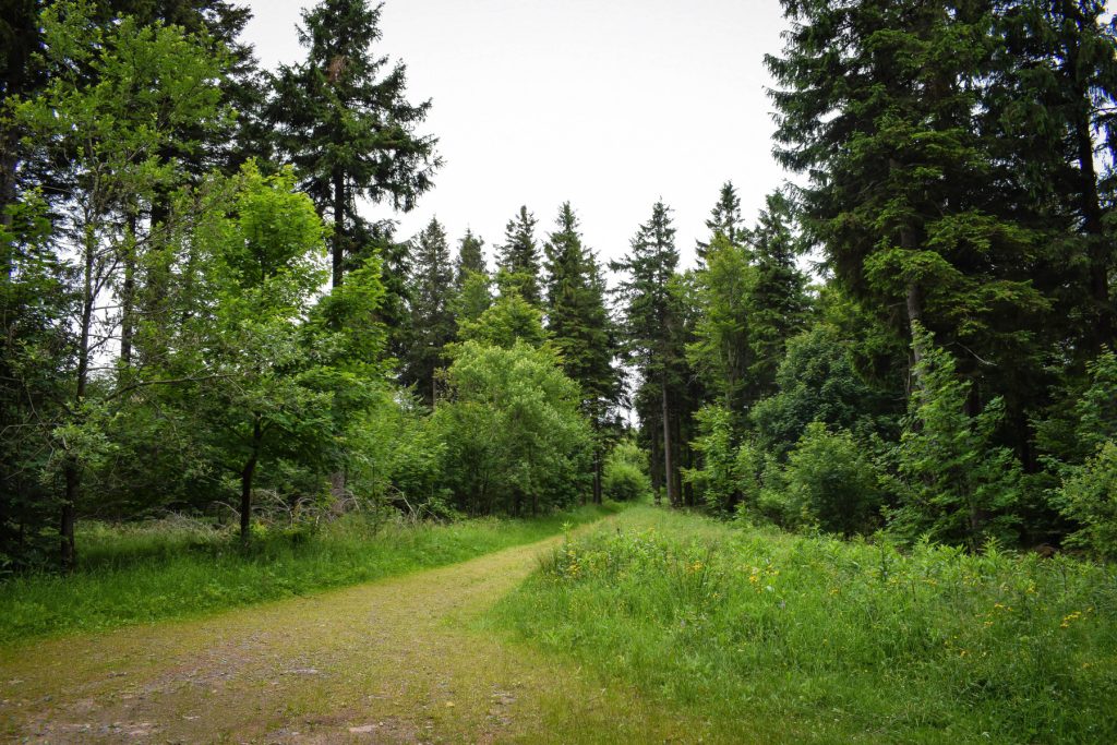 Zugänglichkeit - PRM - eingeschränkte Mobilität 1 Field of Fire Juni 2018 Clement Di Marco OTVB 19
