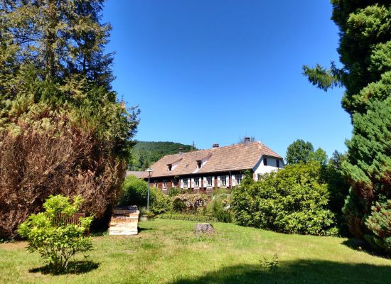 Batisse vue parc été-LD-1500px