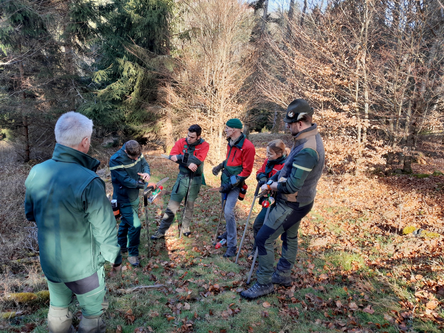 P 2532301 F215007478 decouverte du martelage avec des forestiers schirmeck