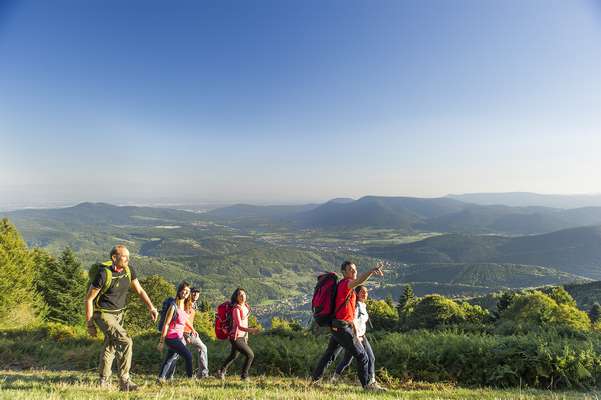P 3960 F215002884 Einführung in die Orientierung Belmont