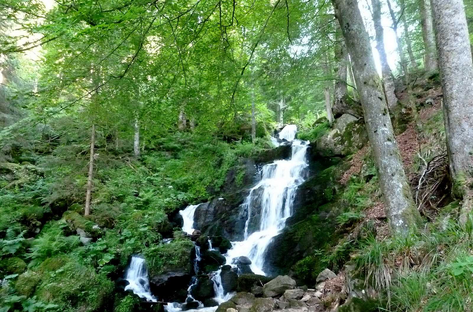 La Vallée de la Bruche en Hiver 24 P 4046 F215000635 sentiers plaisir cascade legendes et traditions neuviller la roche