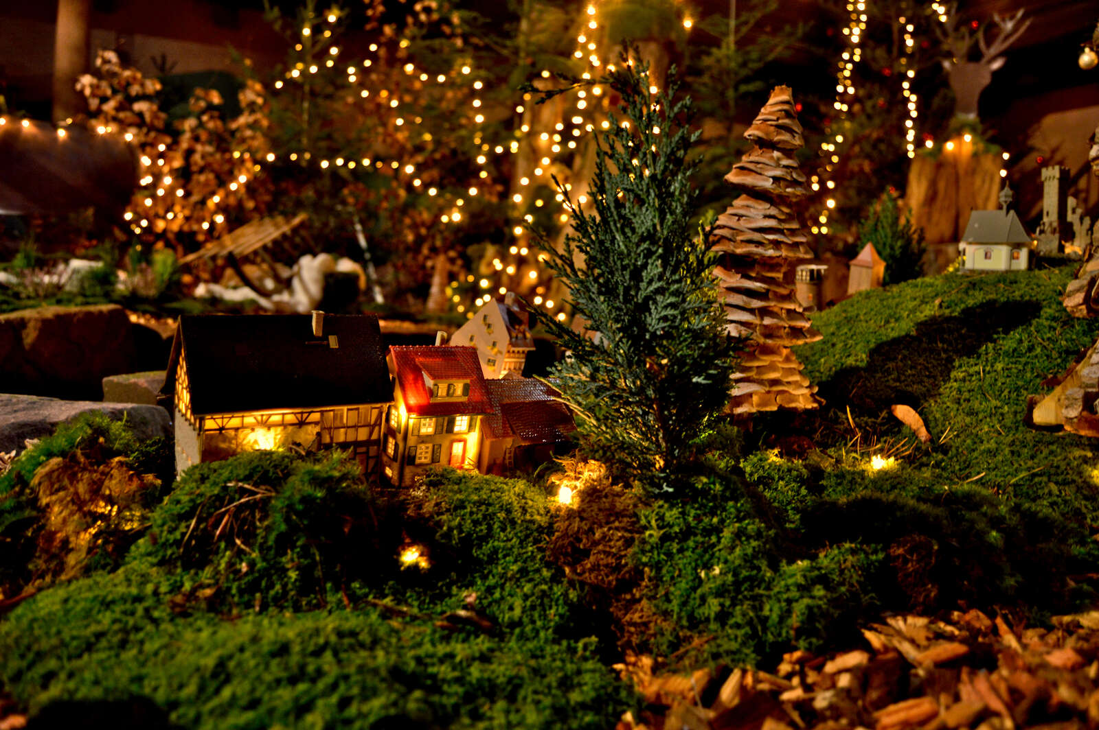 P 4318 F215004654 noel du coeur wisches