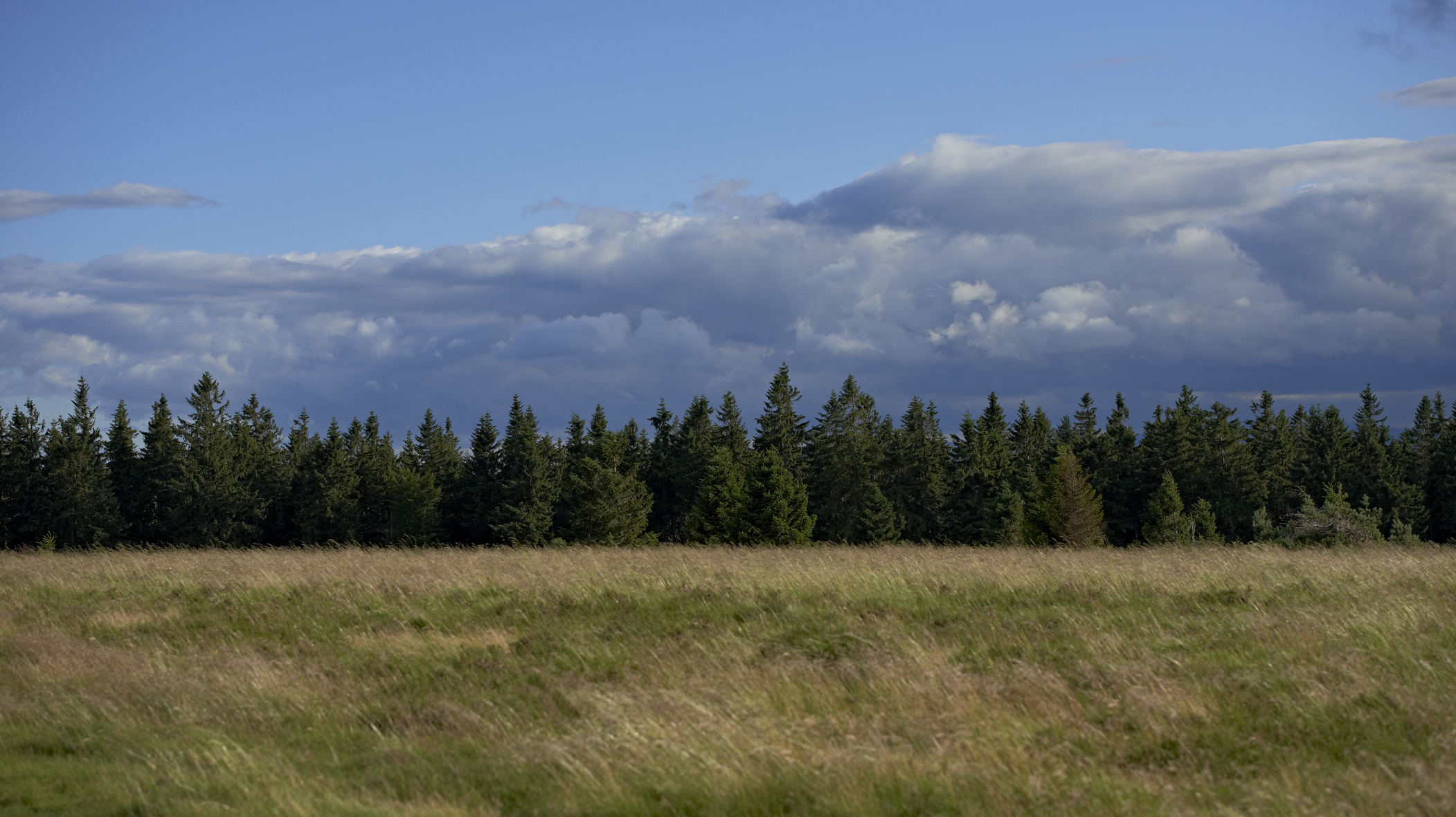P 800372 F215006958 Genusswege auf den Spuren der Täufer vom Obersommerhof Ottrott 1