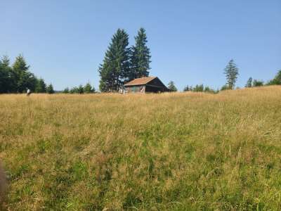 Conférence : des Anabaptistes-Mennonites au Sommerhof