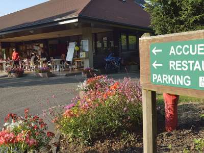 © © camping La Forêt