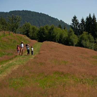 Circuit rando H05 : Le sentier des fruitiers