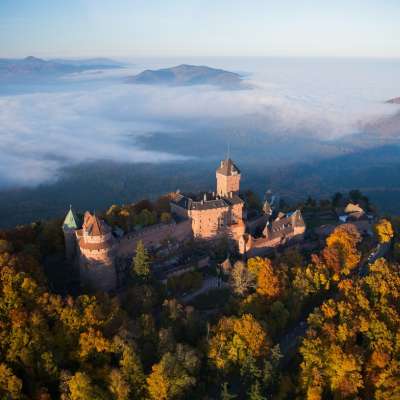 Château du Haut-Koenigsbourg
